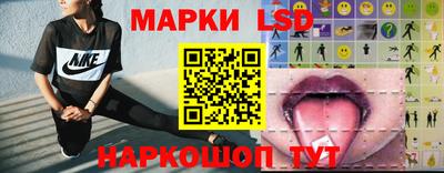 mdpv Гатчина