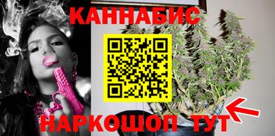 mdpv Гатчина