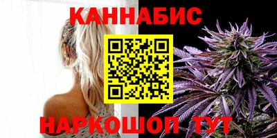 mdpv Гатчина