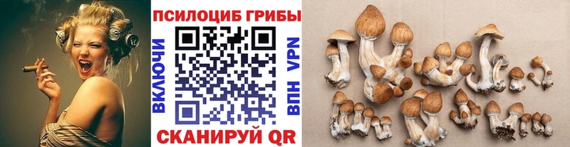 мега как войти  магазин продажи   Корсаков  Псилоцибиновые грибы Magic Shrooms 