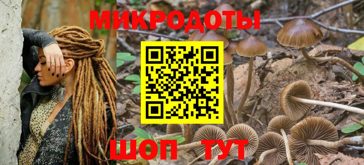 Галлюциногенные грибы ЛСД  Галлюциногенные грибы Psilocybine cubensis  Корсаков  Вход с VPN 