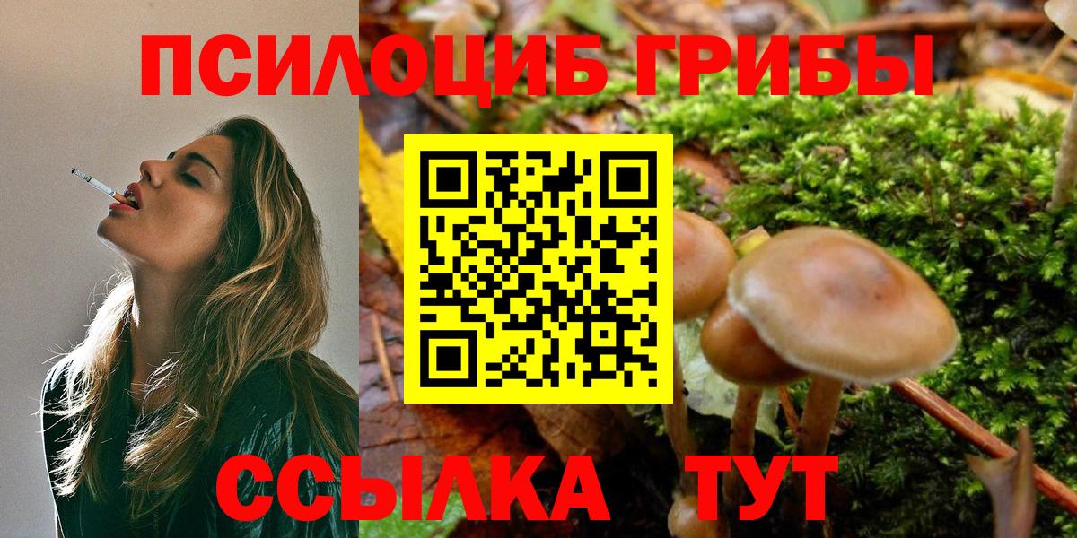 Псилоцибиновые грибы GOLDEN TEACHER Корсаков