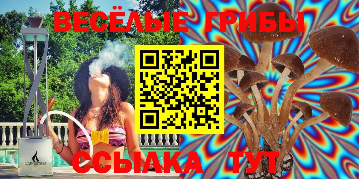 Псилоцибиновые грибы мицелий  Псилоцибиновые грибы мухоморы  Корсаков 