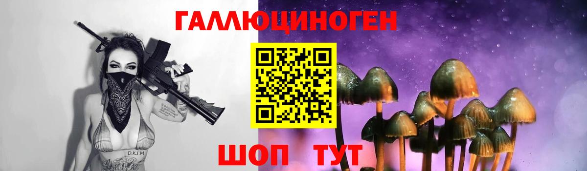 Галлюциногенные грибы Psilocybe Корсаков